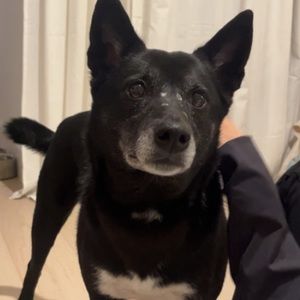 Meet your Posher, Matt